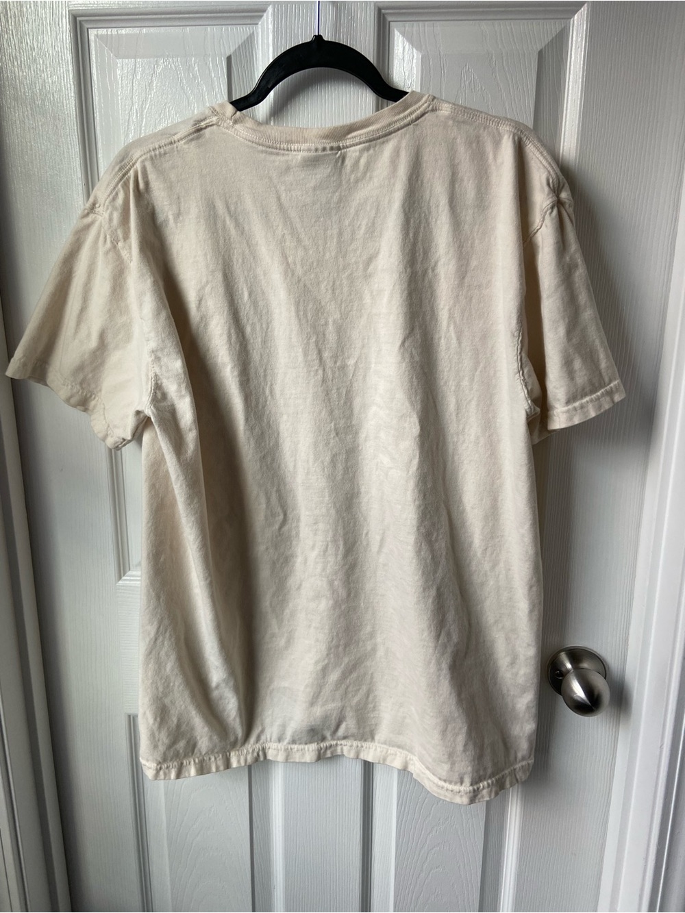 Comfort Colors White Graphic Tee - 'The Birds Work for the Bourgeoisie' - Picture 3 of 4